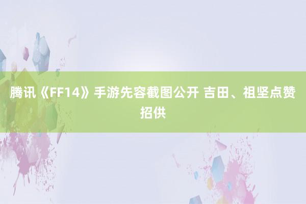 腾讯《FF14》手游先容截图公开 吉田、祖坚点赞招供