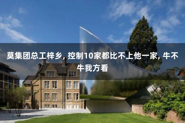 莫集团总工梓乡, 控制10家都比不上他一家, 牛不牛我方看