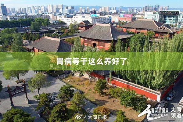 胃病等于这么养好了