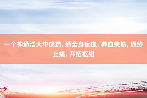 一个神通浩大中成药, 通全身瘀血, 养血荣筋, 通络止痛, 开拓枢纽