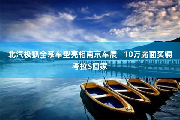 北汽极狐全系车型亮相南京车展   10万露面买辆考拉S回家