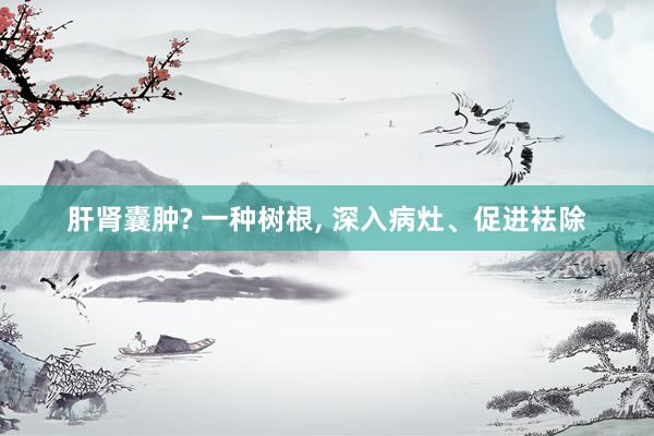 肝肾囊肿? 一种树根, 深入病灶、促进袪除