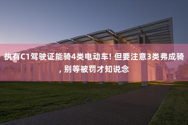 执有C1驾驶证能骑4类电动车! 但要注意3类弗成骑, 别等被罚才知说念