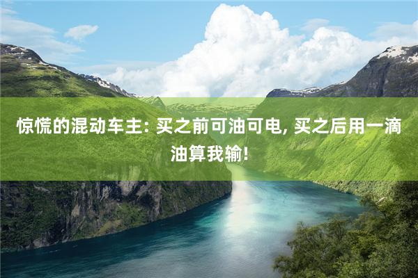 惊慌的混动车主: 买之前可油可电, 买之后用一滴油算我输!