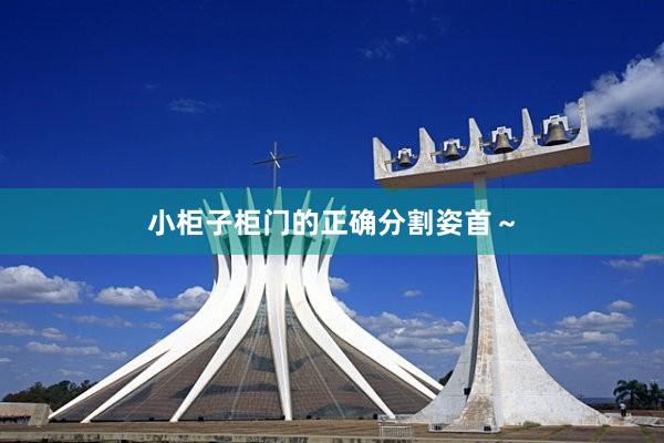 小柜子柜门的正确分割姿首～