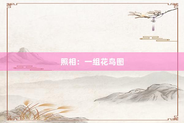 照相：一组花鸟图