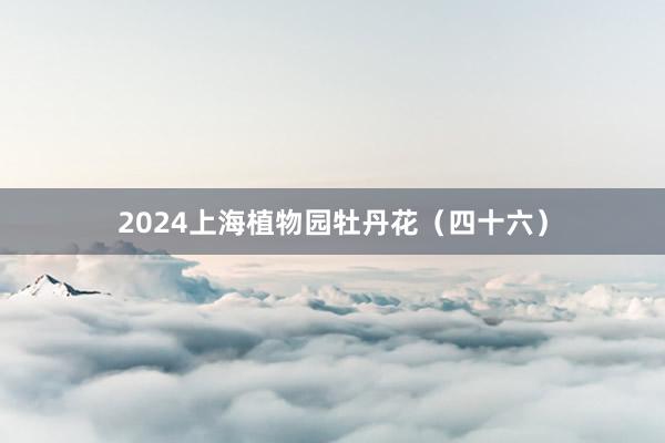 2024上海植物园牡丹花（四十六）